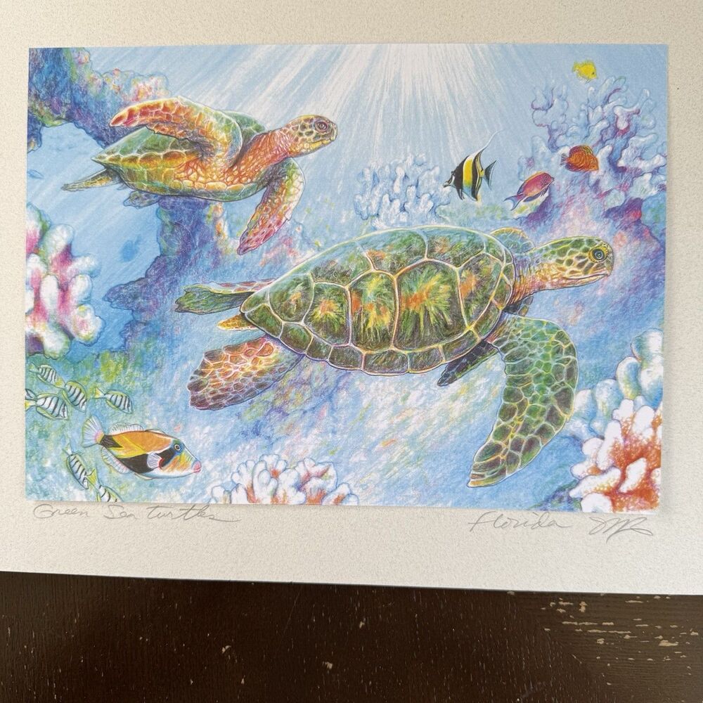 Green Sea Turtles Hand Signed Artist Print John Romaine Florida Colored Pencil